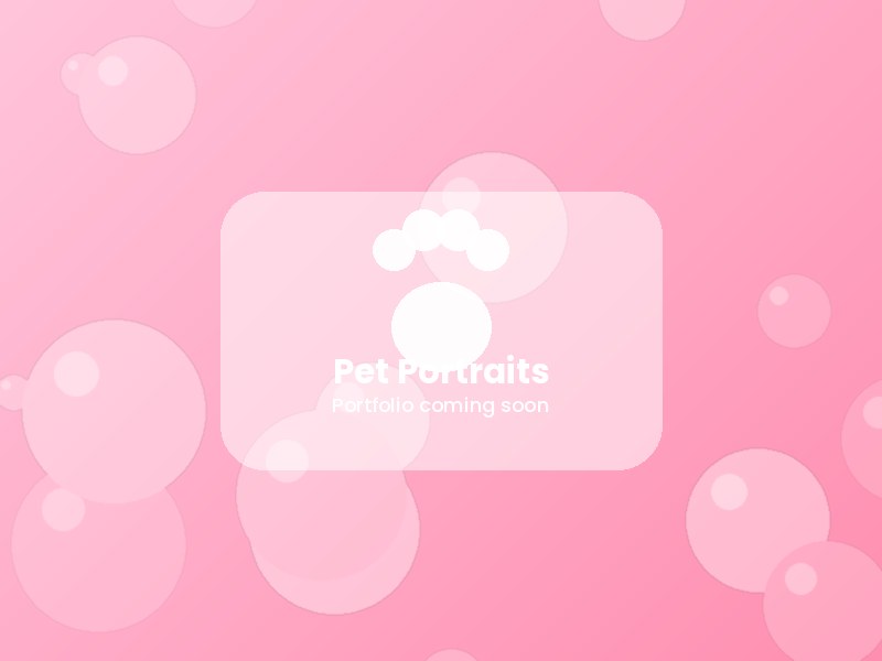 Placeholder image for pet photography portfolio