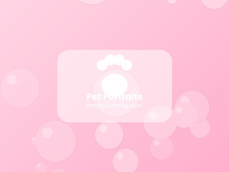Placeholder image for pet photography